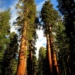Yosemite National Park, 優勝美地,國家公園，加州