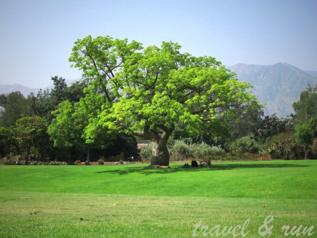 美西之旅, 美國火車旅行, 加州, California, 美西, Los Angeles, Acadia, 植物園, Los Angeles County Arboretum, Pasadena, Botanical Garden