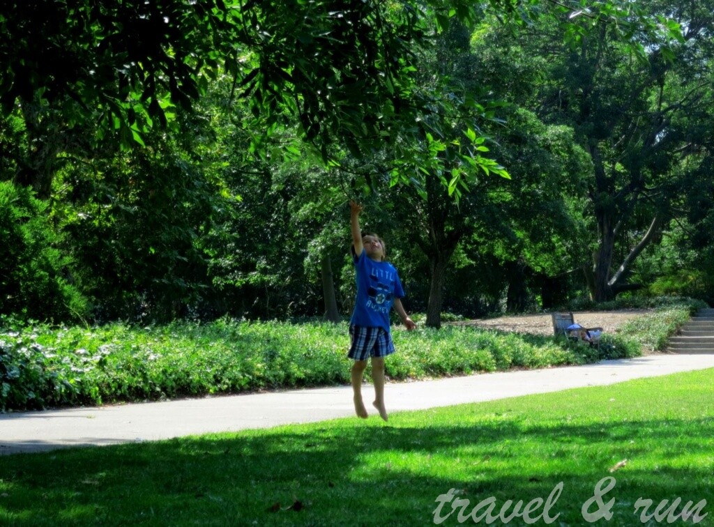 美西之旅, 美國火車旅行, 加州, California, 美西, Los Angeles, Acadia, 植物園, Los Angeles County Arboretum, Pasadena, Botanical Garden