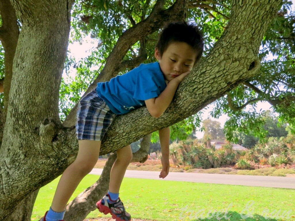 美西之旅, 美國火車旅行, 加州, California, 美西, Los Angeles, Acadia, 植物園, Los Angeles County Arboretum, Pasadena, Botanical Garden